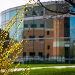 UPDATE ON THE IMPACT OF INTERIM Q&A RELATED TO TITLE IX